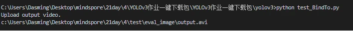 篮球教练如何制定总决赛的长期发展计划_0